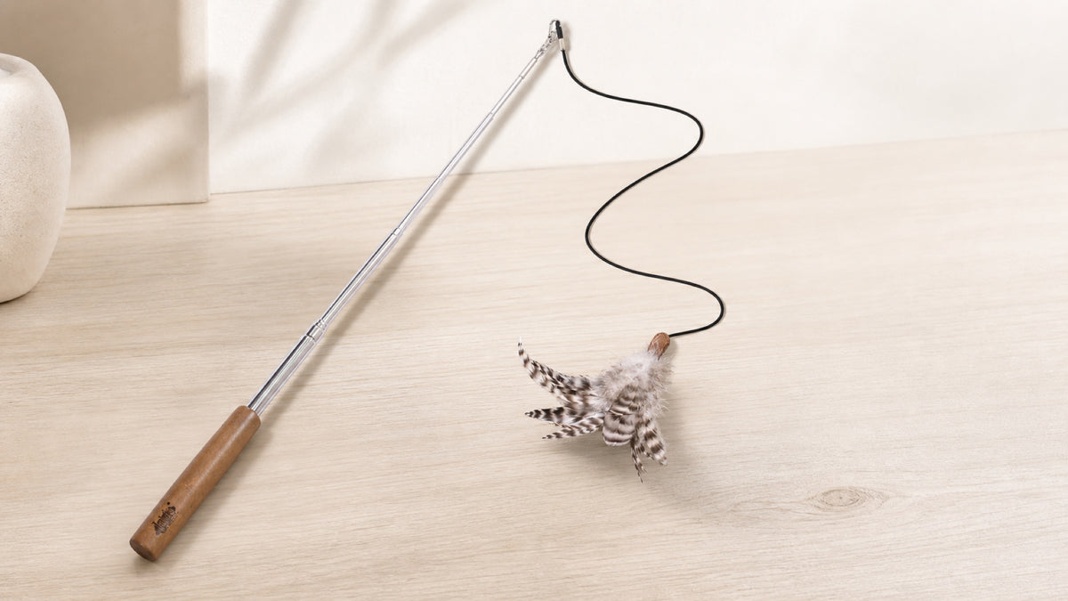 Lulu's World feather wand with a solid wood handle and flexible play line.
