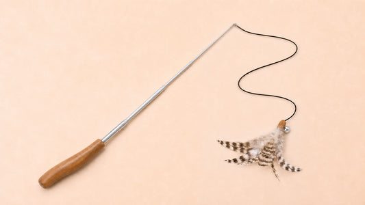 Feather Wand