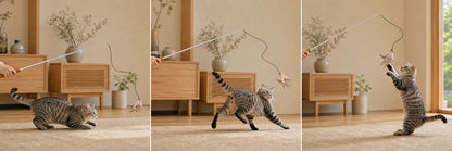 Lulu's world Retractable Cat Wand Toy - 46" Telescopic Feather Teaser for Indoor Cats & Kittens - Smooth Extension, Interactive Pet Exercise Toy for Chasing & Pouncing