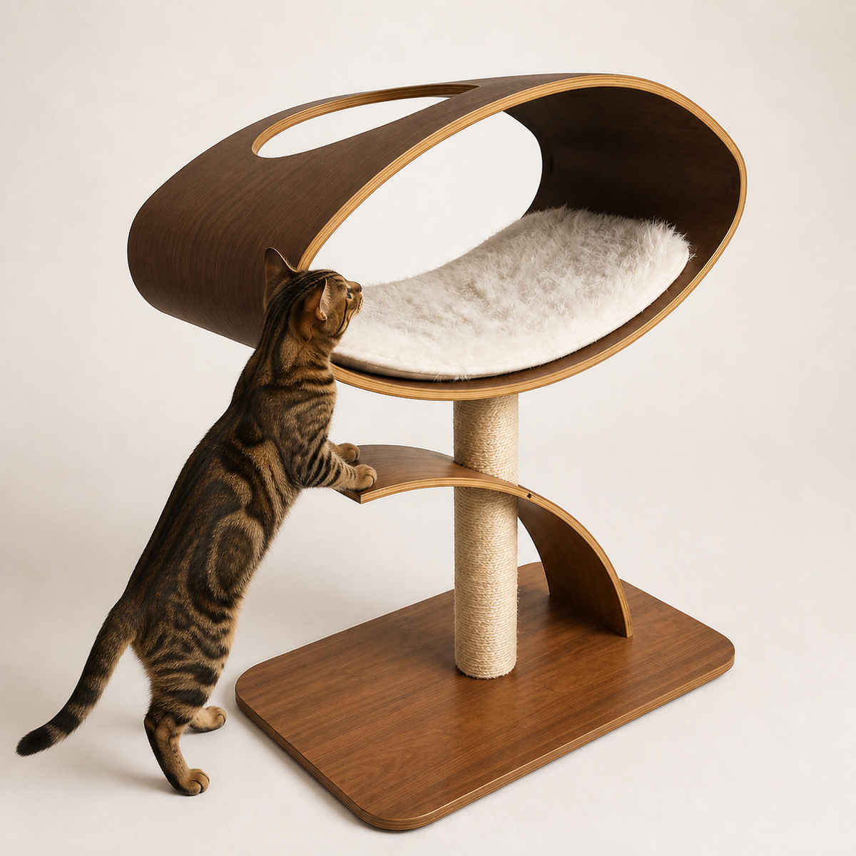 Orbit Cat Lounge — Step onto the curved lower platform.