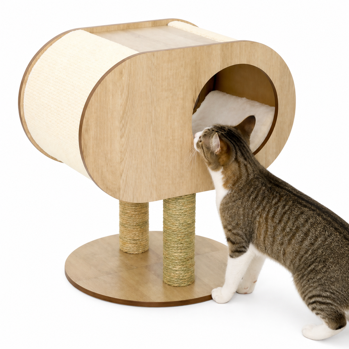 Oval Cat Cabin — Approach the wide oval entrance.
