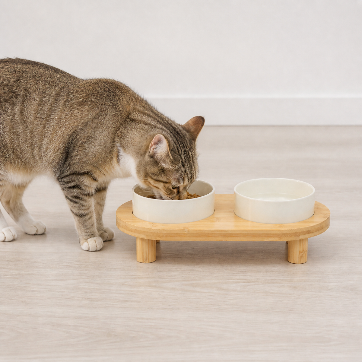 Raised Double Bowl Station — Serve food and water side by side.